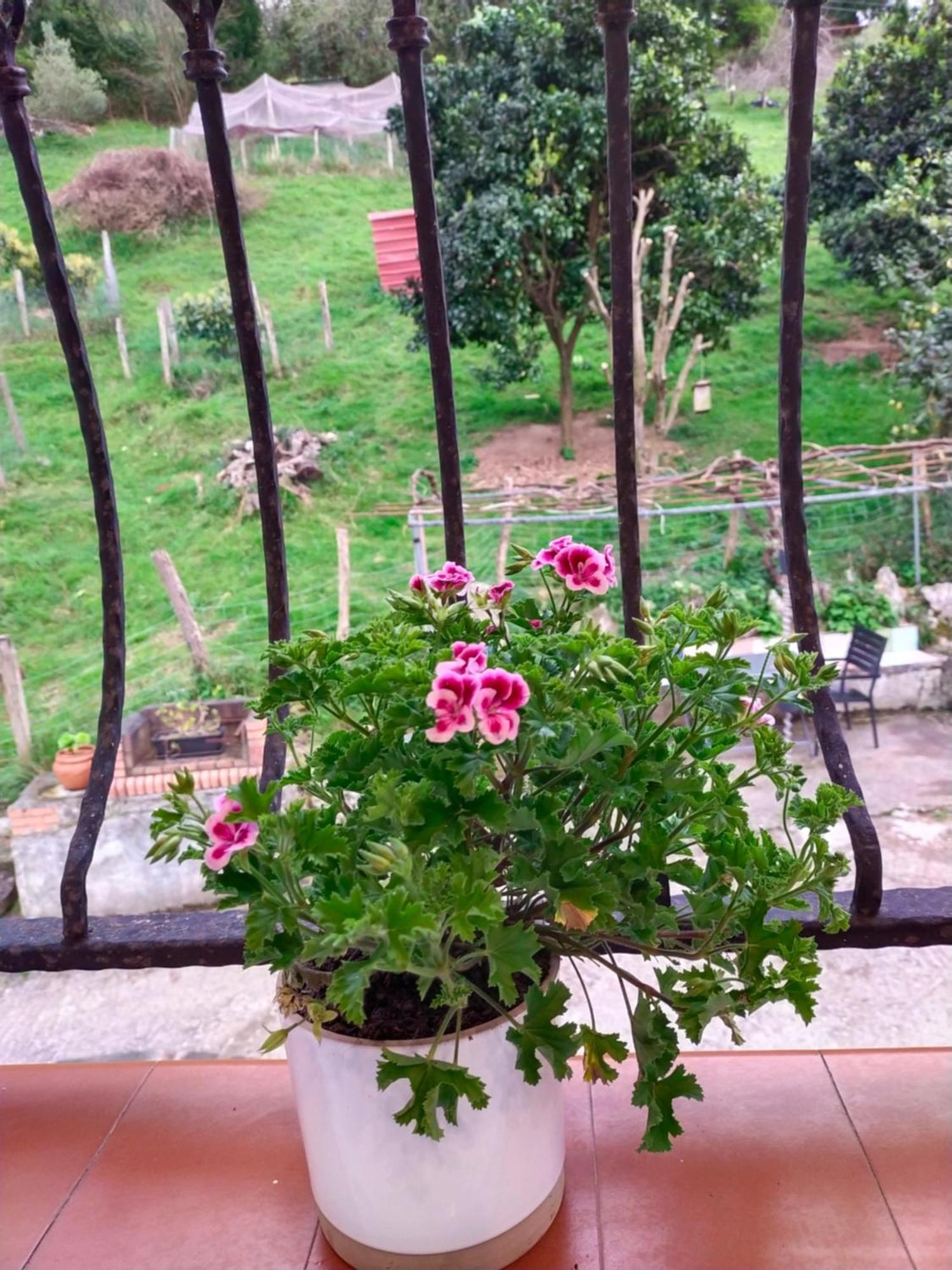 Antzomendi Apartment มูตริกู ภายนอก รูปภาพ